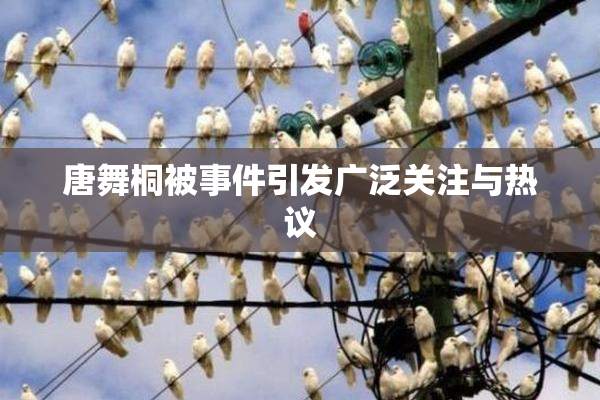 唐舞桐被事件引发广泛关注与热议