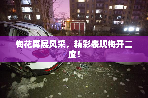梅花再展风采，精彩表现梅开二度！