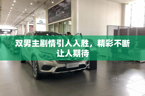 双男主剧情引人入胜，精彩不断让人期待