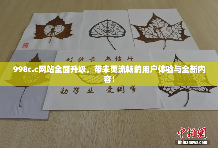 998c.c网站全面升级，带来更流畅的用户体验与全新内容！