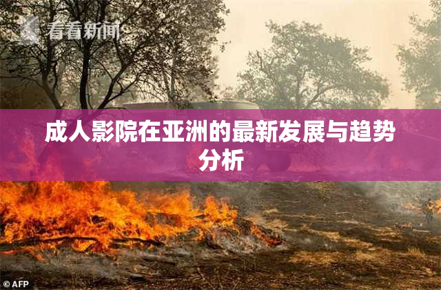 成人影院在亚洲的最新发展与趋势分析