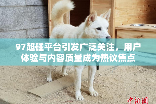 97超碰平台引发广泛关注，用户体验与内容质量成为热议焦点