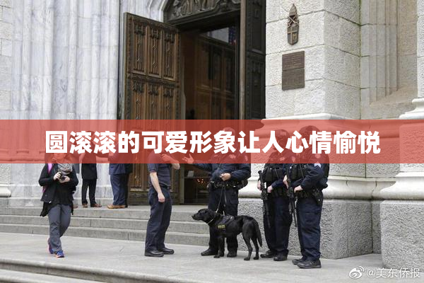 圆滚滚的可爱形象让人心情愉悦
