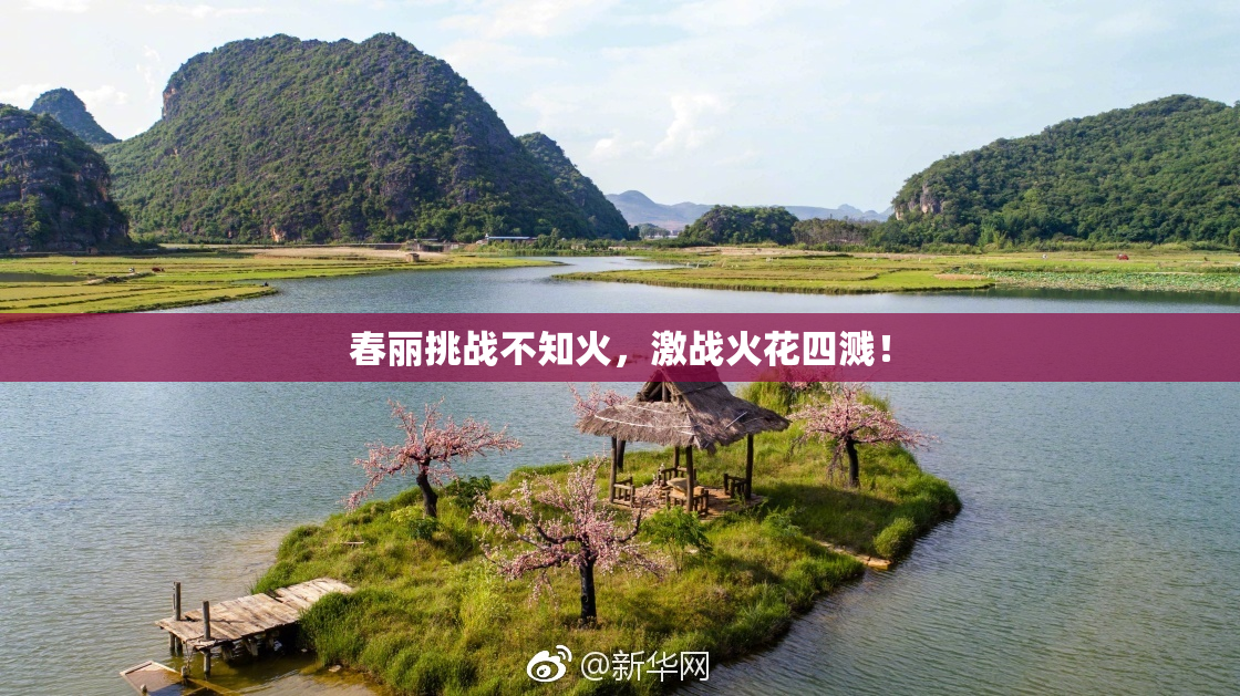 春丽挑战不知火，激战火花四溅！