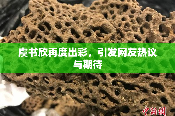 虞书欣再度出彩，引发网友热议与期待
