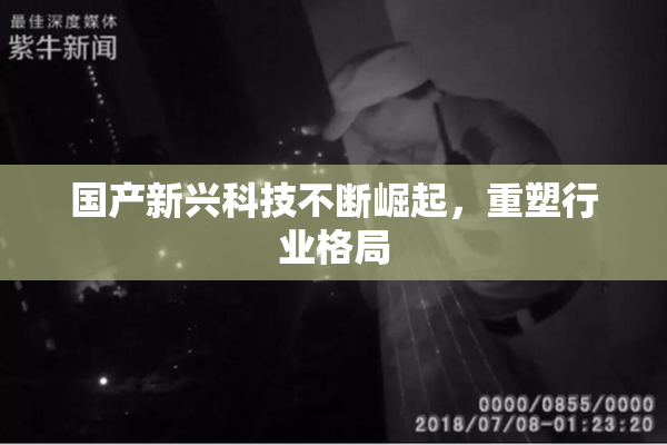 国产新兴科技不断崛起，重塑行业格局