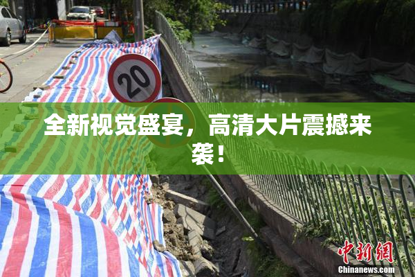 全新视觉盛宴，高清大片震撼来袭！