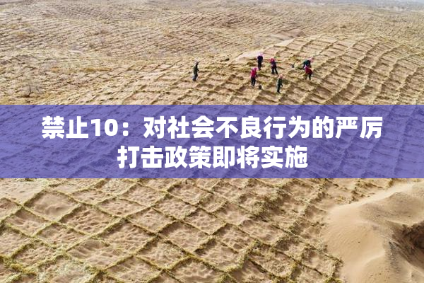 禁止10：对社会不良行为的严厉打击政策即将实施