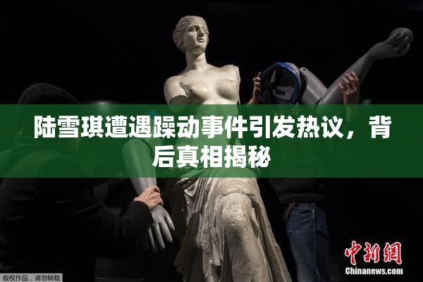陆雪琪遭遇躁动事件引发热议，背后真相揭秘