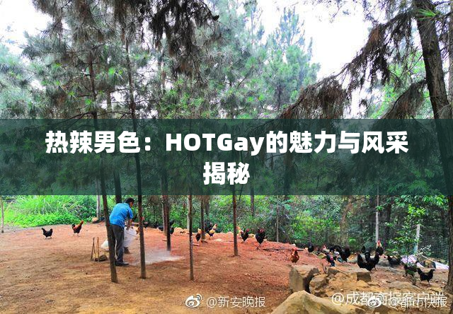 热辣男色：HOTGay的魅力与风采揭秘