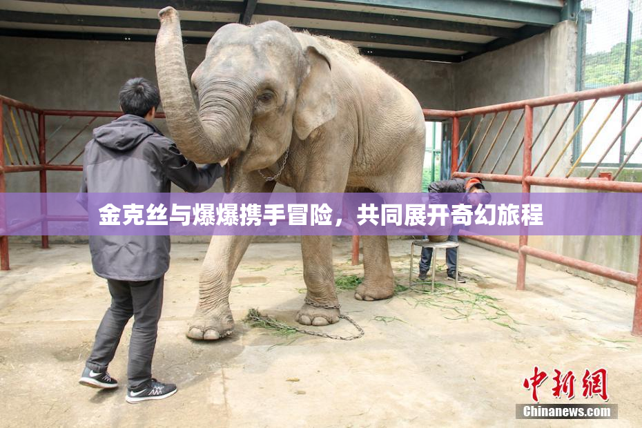 金克丝与爆爆携手冒险，共同展开奇幻旅程