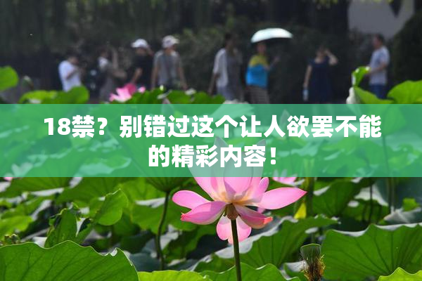 18禁？别错过这个让人欲罢不能的精彩内容！