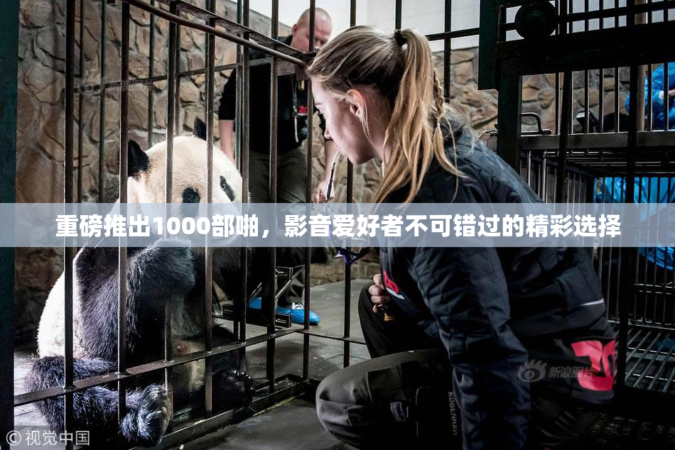 重磅推出1000部啪，影音爱好者不可错过的精彩选择