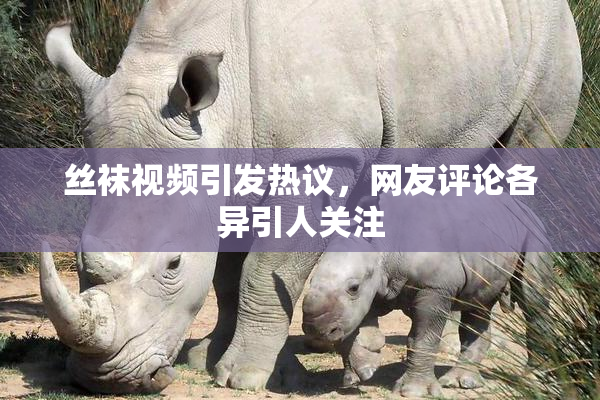 丝袜视频引发热议，网友评论各异引人关注