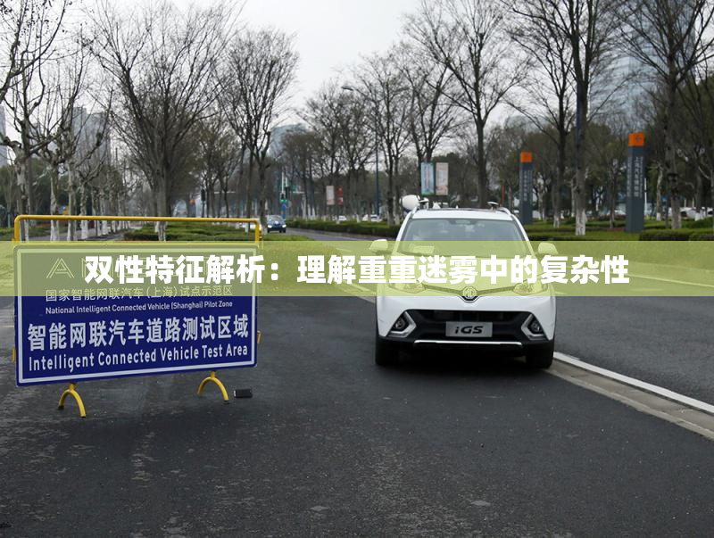 双性特征解析：理解重重迷雾中的复杂性