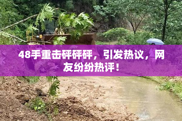 48手重击砰砰砰，引发热议，网友纷纷热评！
