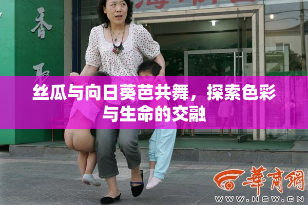 丝瓜与向日葵芭共舞，探索色彩与生命的交融