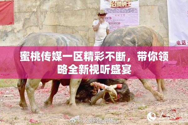 蜜桃传媒一区精彩不断，带你领略全新视听盛宴
