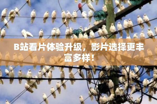 B站看片体验升级，影片选择更丰富多样！