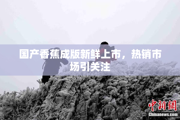 国产香蕉成版新鲜上市，热销市场引关注
