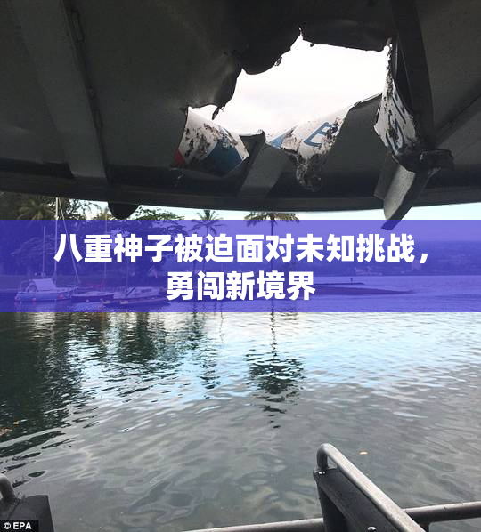 八重神子被迫面对未知挑战，勇闯新境界