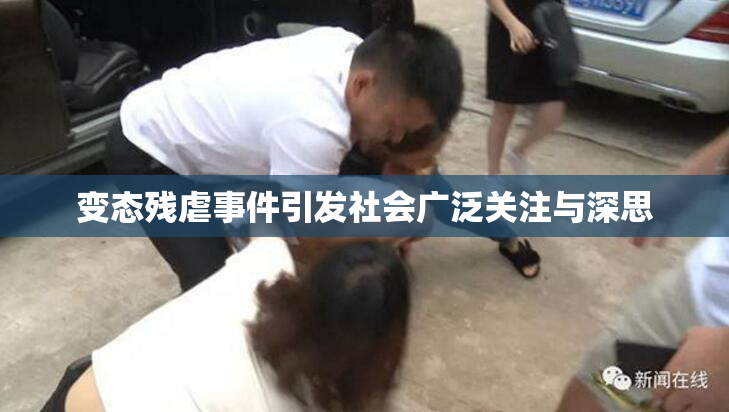 变态残虐事件引发社会广泛关注与深思