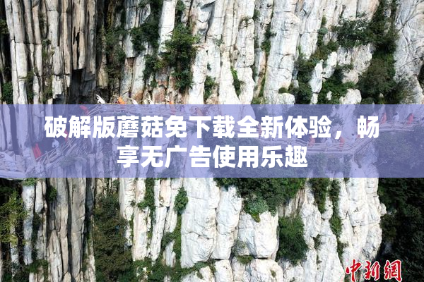 破解版蘑菇免下载全新体验，畅享无广告使用乐趣