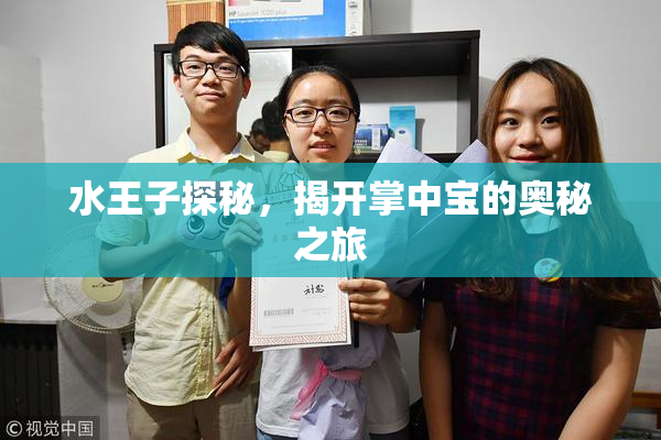 水王子探秘，揭开掌中宝的奥秘之旅