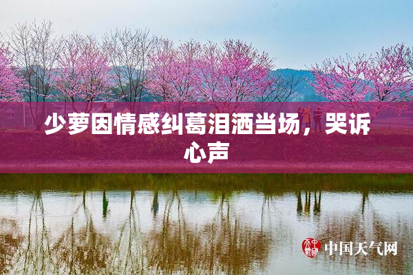 少萝因情感纠葛泪洒当场，哭诉心声
