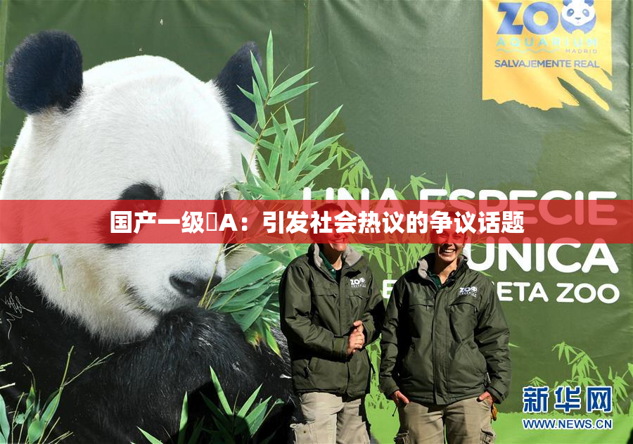 国产一级婬A：引发社会热议的争议话题