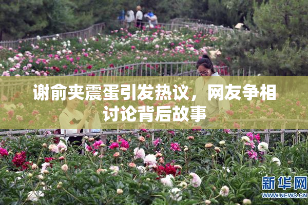 谢俞夹震蛋引发热议，网友争相讨论背后故事