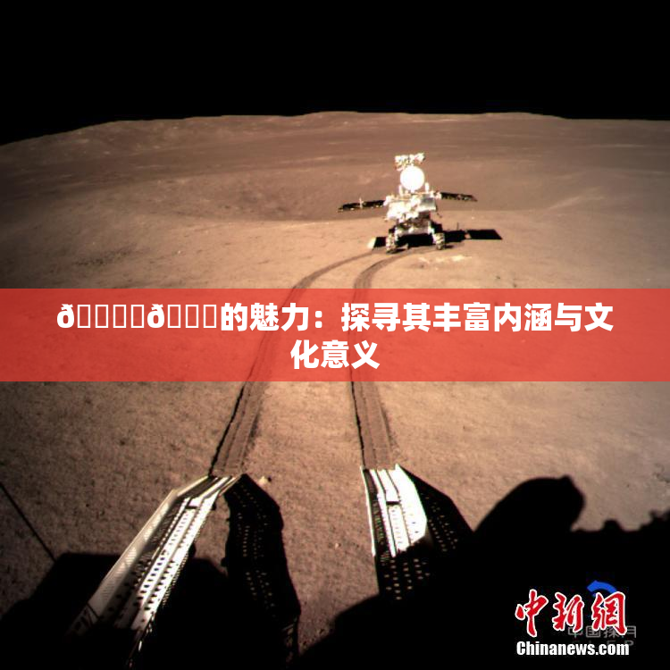 🔞‌🍌的魅力：探寻其丰富内涵与文化意义