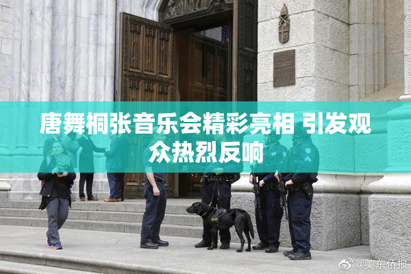 唐舞桐张音乐会精彩亮相 引发观众热烈反响