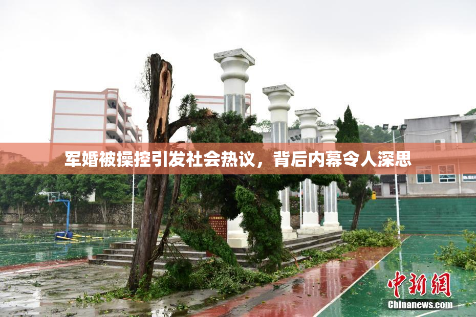 军婚被操控引发社会热议，背后内幕令人深思