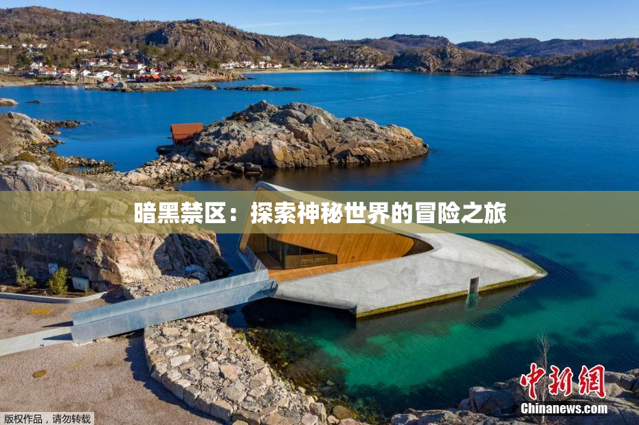 暗黑禁区：探索神秘世界的冒险之旅