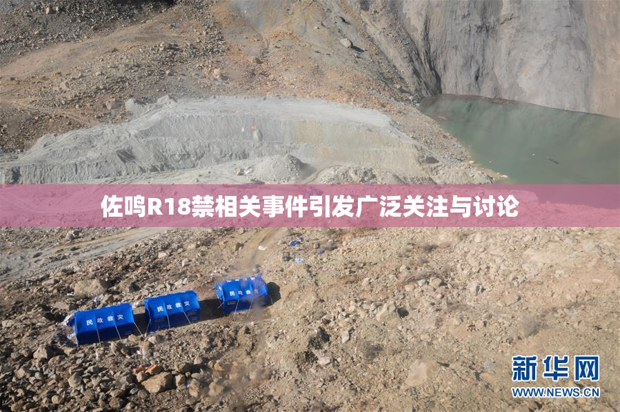 佐鸣R18禁相关事件引发广泛关注与讨论