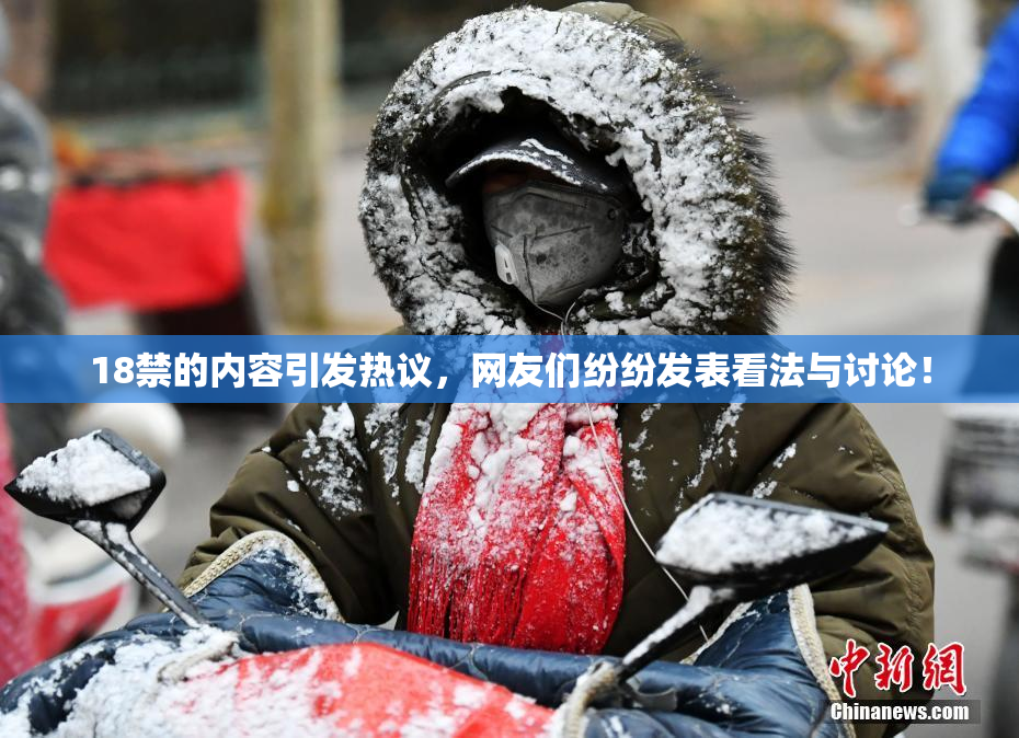 18禁的内容引发热议，网友们纷纷发表看法与讨论！
