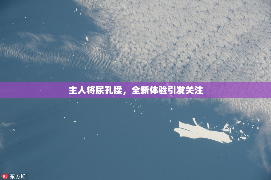 主人将尿孔揉，全新体验引发关注