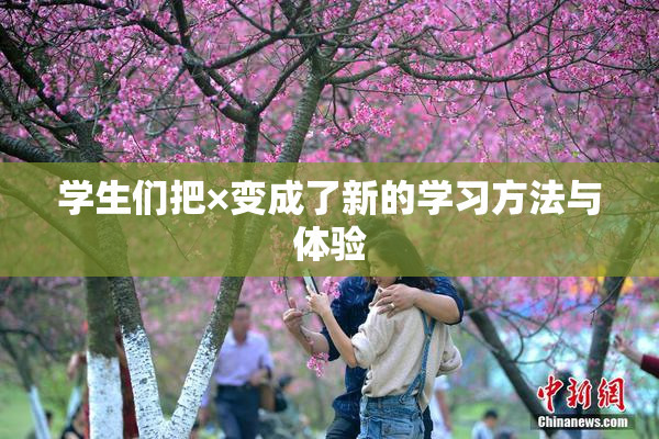学生们把×变成了新的学习方法与体验