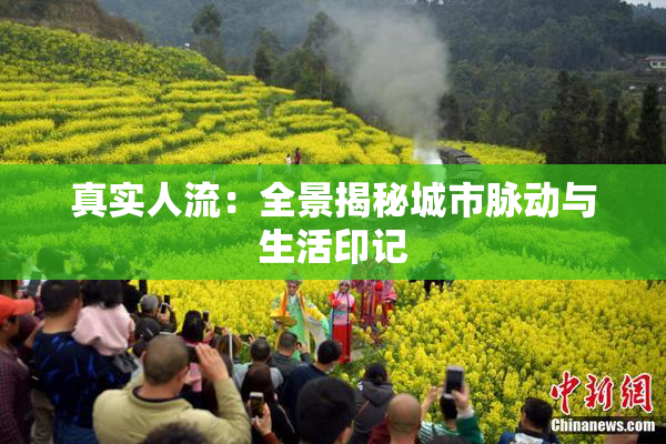 真实人流：全景揭秘城市脉动与生活印记