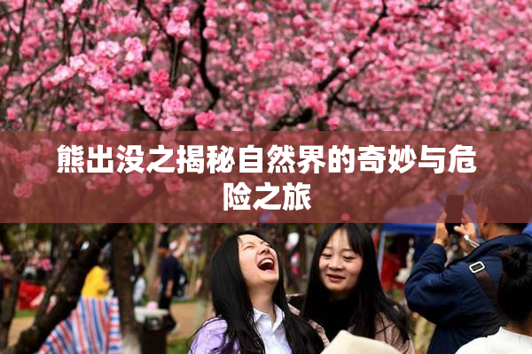 熊出没之揭秘自然界的奇妙与危险之旅