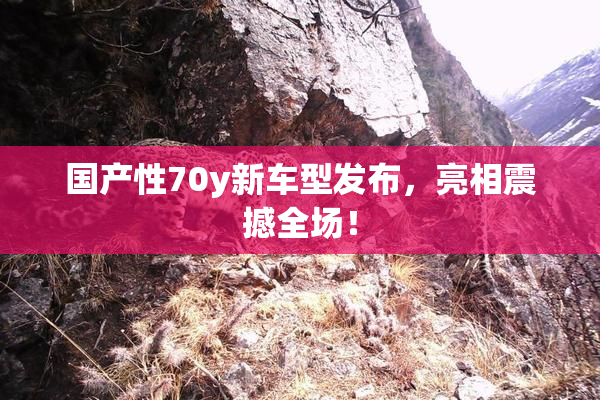 国产性70y新车型发布，亮相震撼全场！
