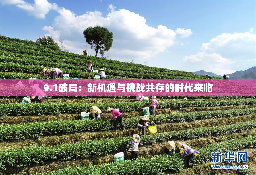 9.1破局：新机遇与挑战共存的时代来临