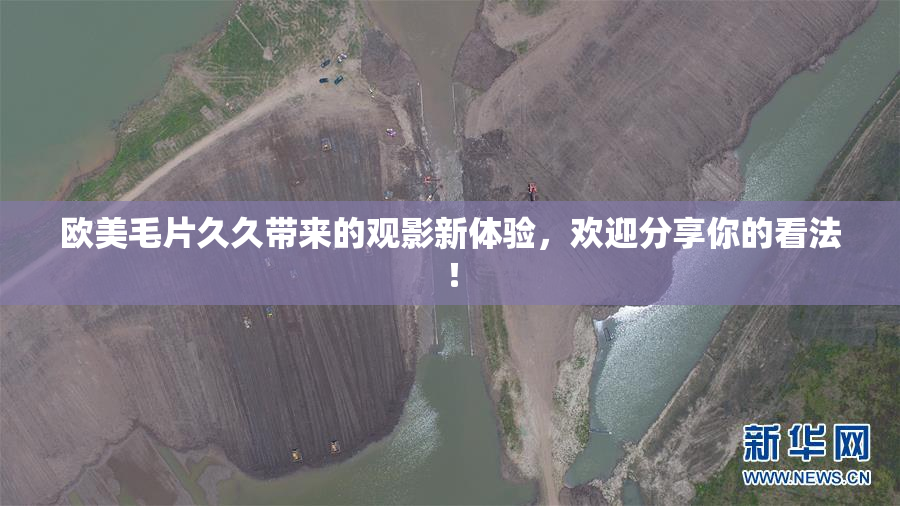 欧美毛片久久带来的观影新体验，欢迎分享你的看法！