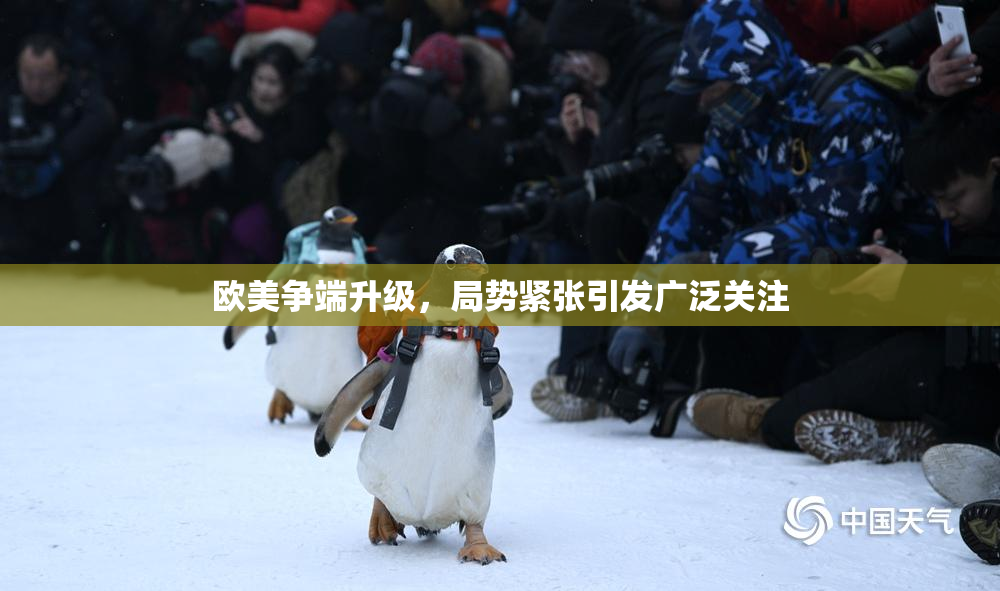 欧美争端升级，局势紧张引发广泛关注