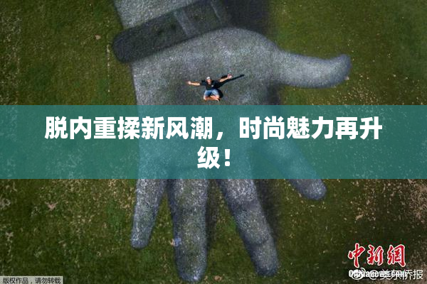 脱内重揉新风潮，时尚魅力再升级！