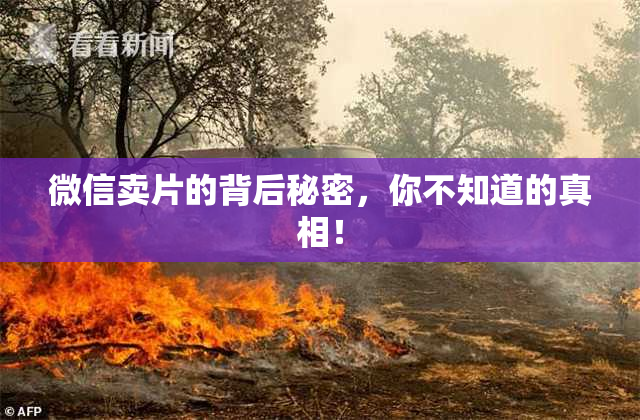 微信卖片的背后秘密，你不知道的真相！