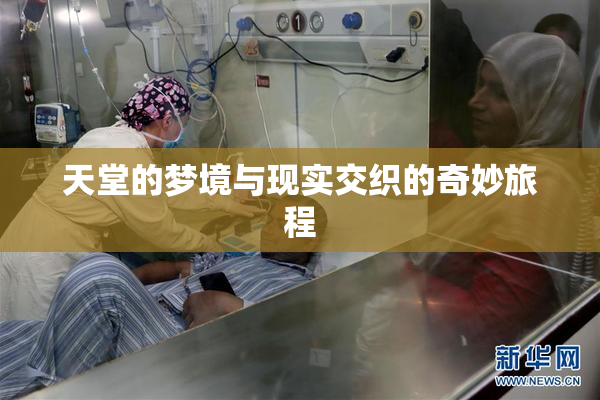 天堂的梦境与现实交织的奇妙旅程