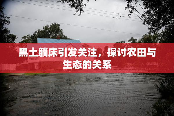 黑土躺床引发关注，探讨农田与生态的关系