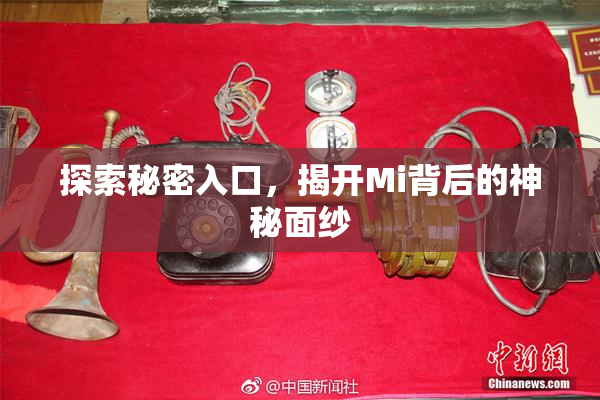 探索秘密入口，揭开Mi背后的神秘面纱